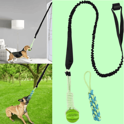 EssencePet™ Bungee Tug Toy